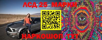 прущие грибы Камень-на-Оби