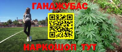 прущие грибы Камень-на-Оби