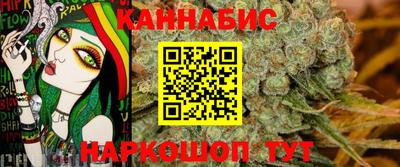 прущие грибы Камень-на-Оби