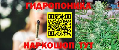 прущие грибы Камень-на-Оби