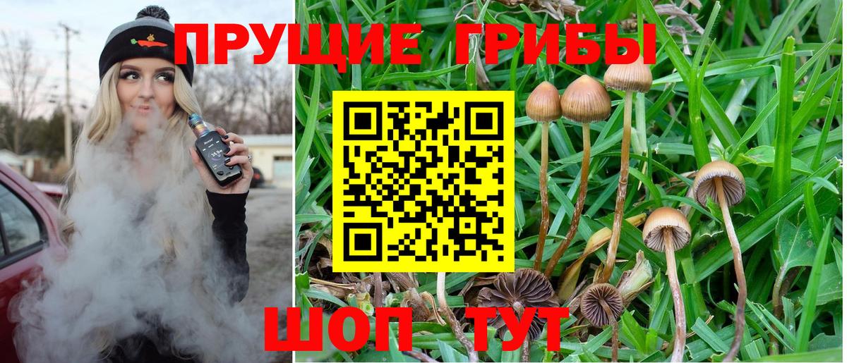 A-PVP Протвино
