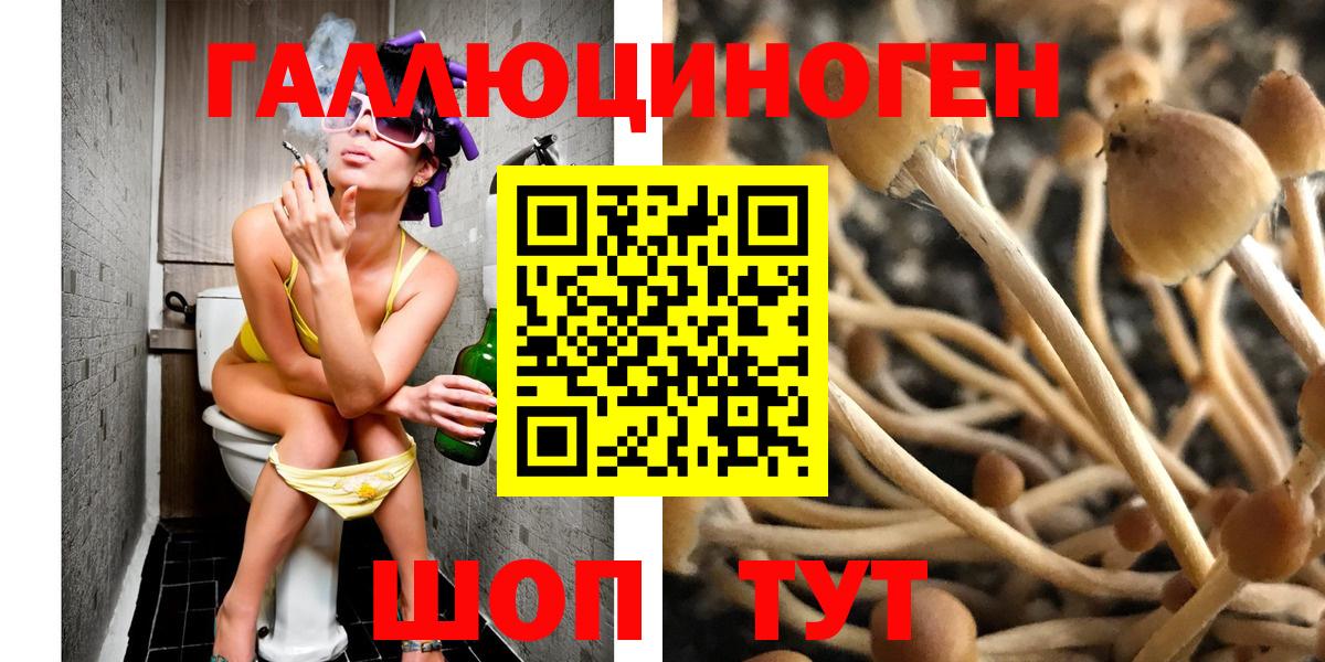 Галлюциногенные грибы Psilocybine cubensis Протвино